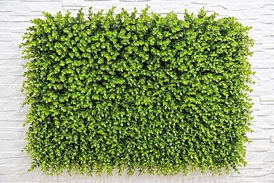 视觉小说续作《牛奶袋外袋装牛奶》发售 收获好评如潮